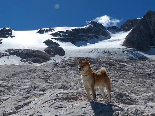 华体会hth官方网站登录-篮球公益活动助力青少年健康成长，篮球公益项目