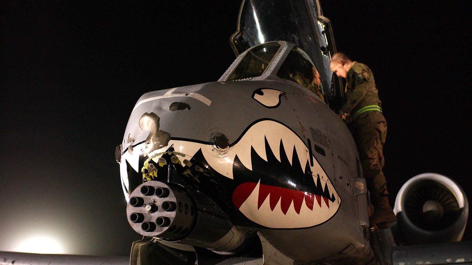 体育器材出口合规性政策研究,体育器材出口市场