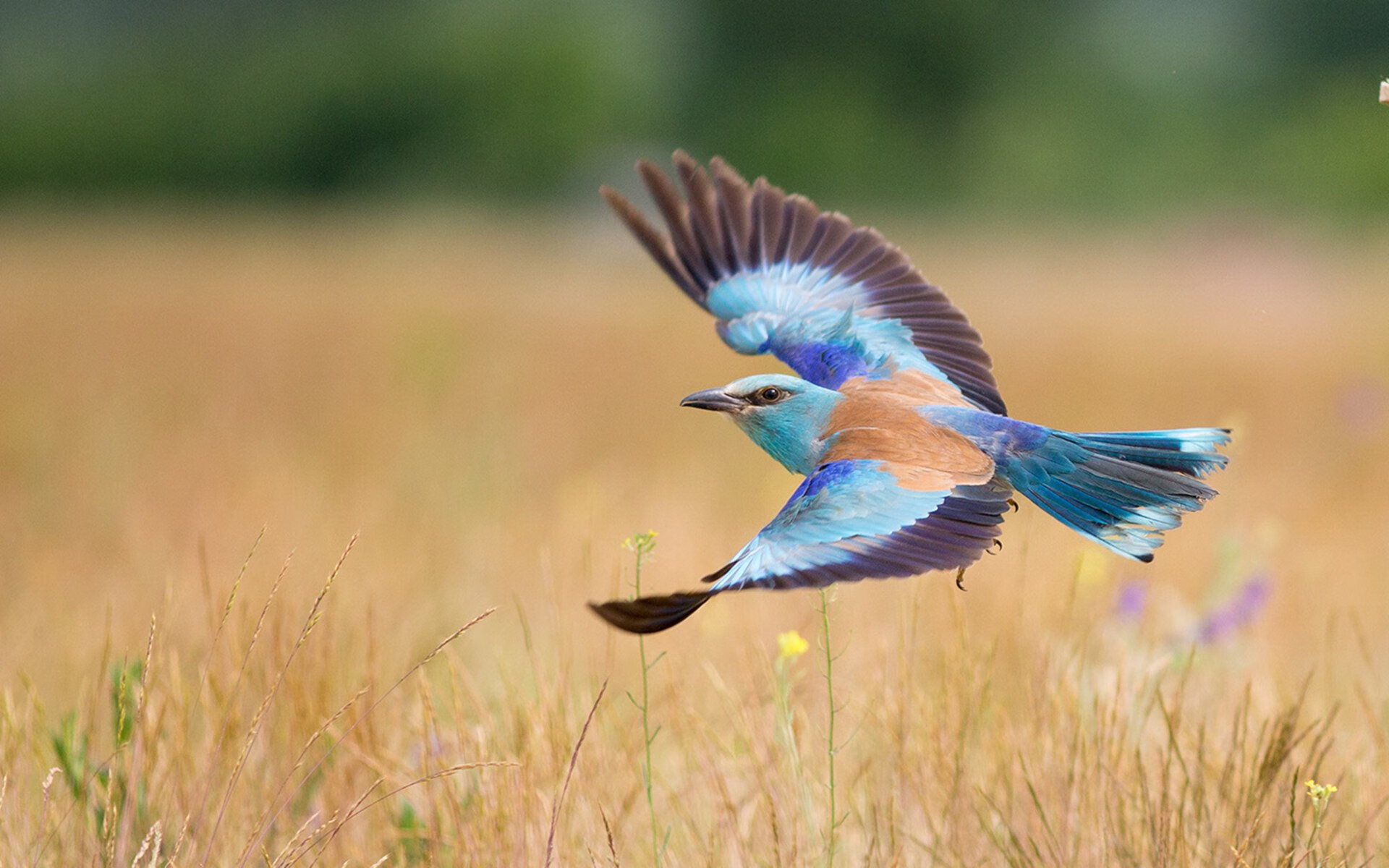 体育新闻中心推进赛事图文实时发布系统优化,体育新闻赛事报道标题大全