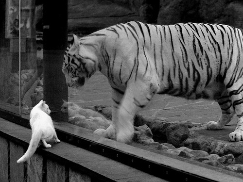 体育新闻中心推进赛事图文实时发布系统优化,体育新闻赛事报道标题大全