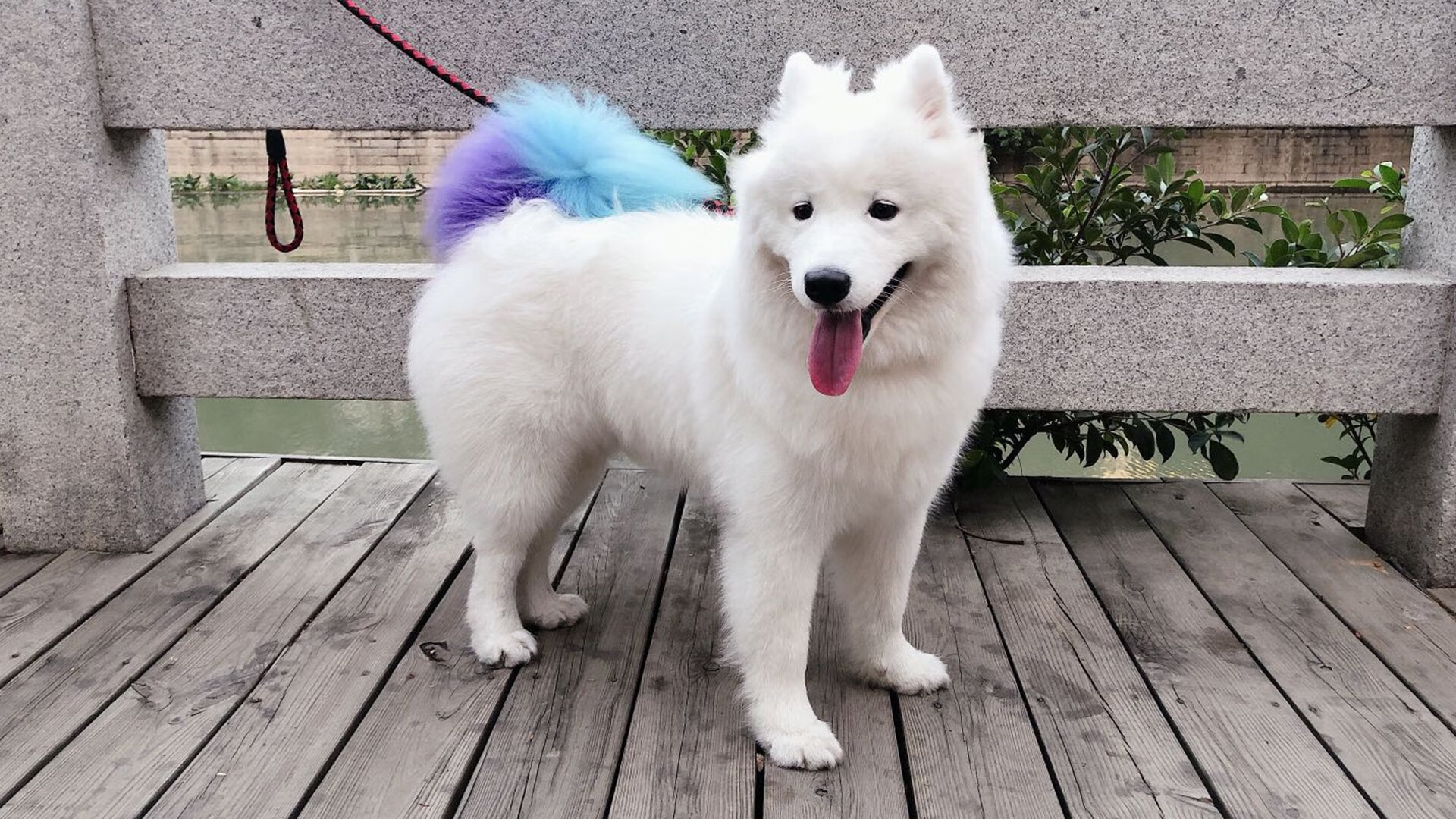 男子篮球国家队提高防守覆盖范围,男子篮球队员名单