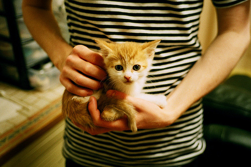 青训体系搭建多维观察通道建立长期选才机制