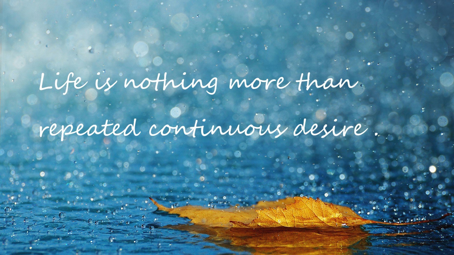 马达加斯加男篮在非洲锦标赛中冲击佳绩,体育实力快速崛起